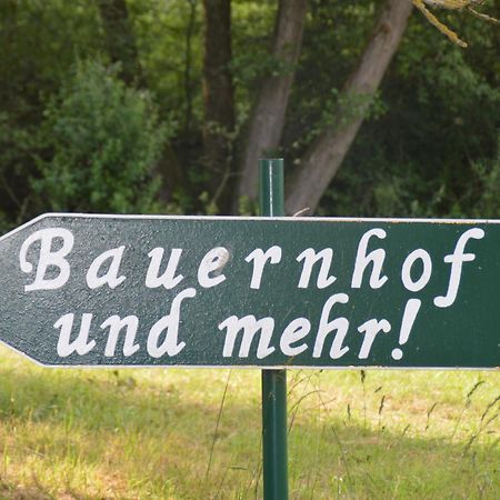 Kleine Einzigartige Ferienwohnung Auf Dem Bauernhof, Direkt In Der Natur Mit Blick Auf Schloss Braunfels Exterior foto