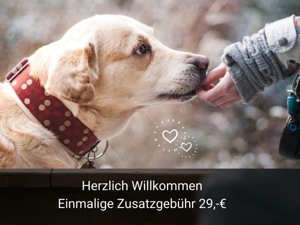 Kleine Einzigartige Ferienwohnung Auf Dem Bauernhof, Direkt In Der Natur Mit Blick Auf Schloss Braunfels Exterior foto