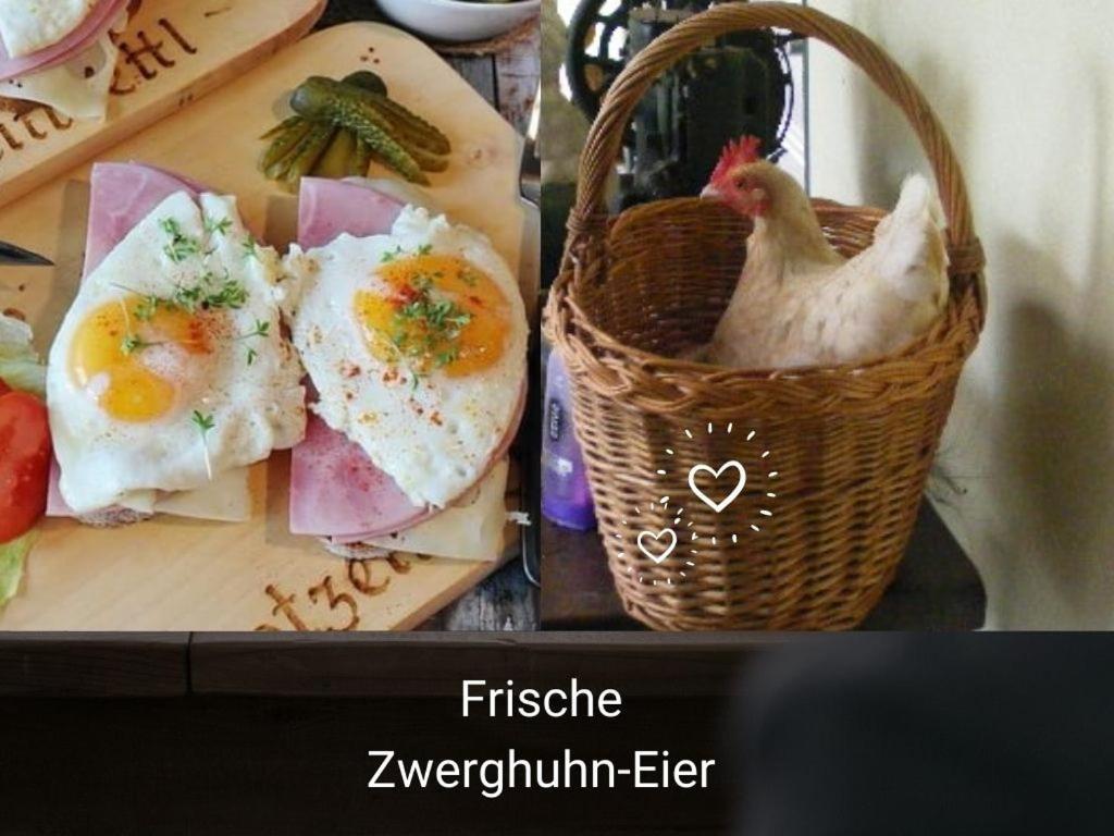 Kleine Einzigartige Ferienwohnung Auf Dem Bauernhof, Direkt In Der Natur Mit Blick Auf Schloss Braunfels Exterior foto